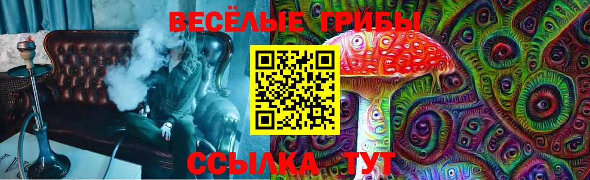 Галлюциногенные грибы Magic Shrooms  Вход с VPN  Реутов  Галлюциногенные грибы мицелий 
