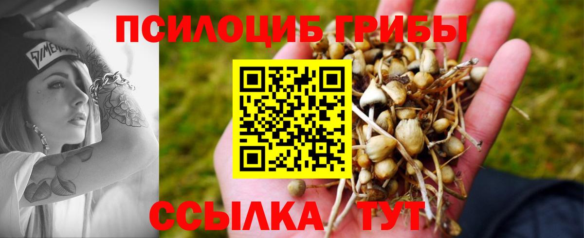 Галлюциногенные грибы GOLDEN TEACHER Реутов